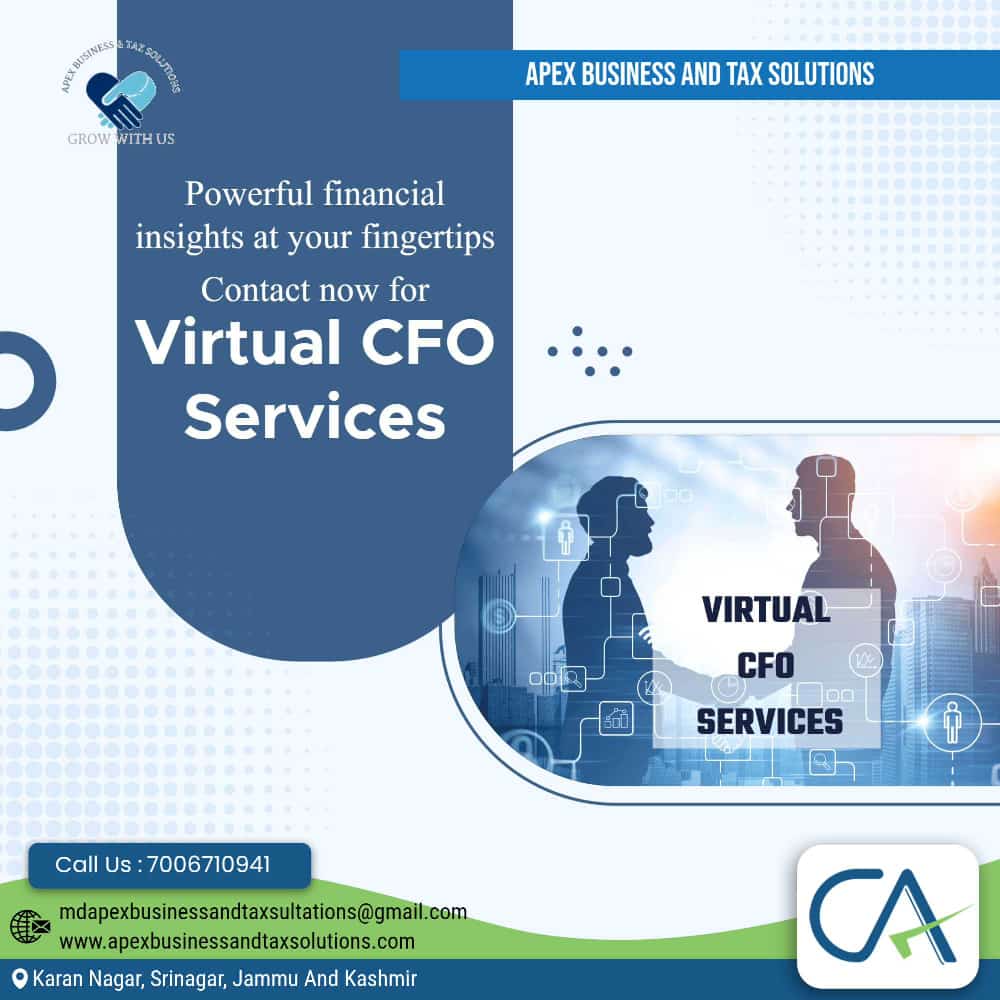 VIRTUAL CFO SERVICES